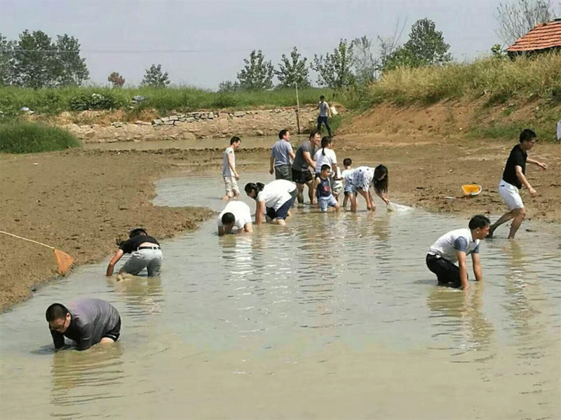 圖片9.gif 圖片9.gif