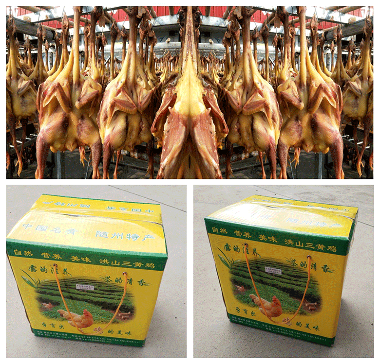 光0000000000000000.gif 光0000000000000000.gif