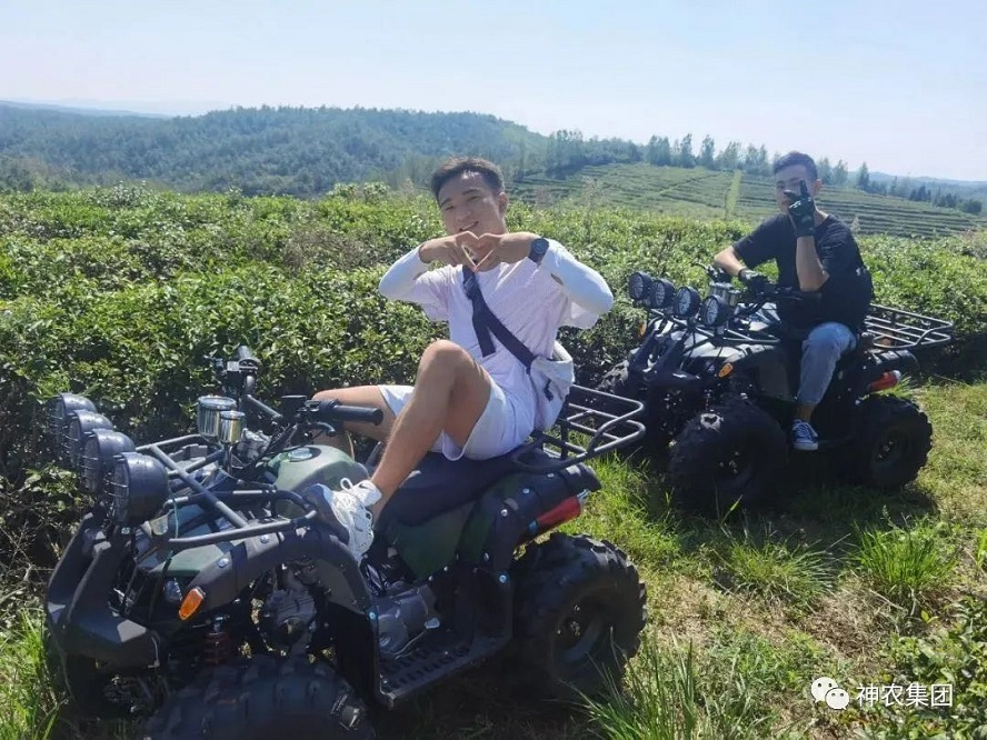 茶園山地車(chē)