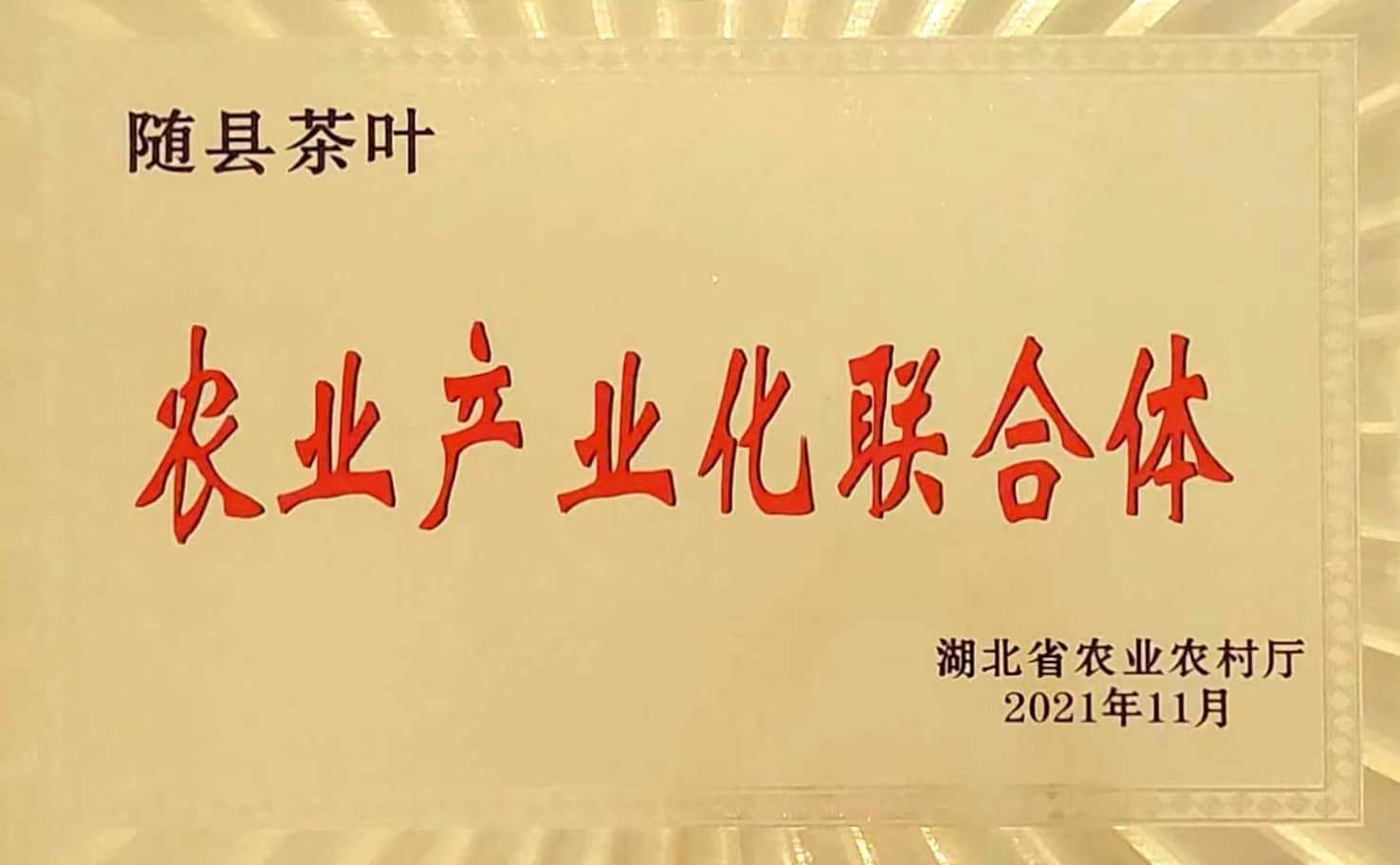 農業(yè)產業(yè)化聯(lián)合體.jpg 農業(yè)產業(yè)化聯(lián)合體.jpg