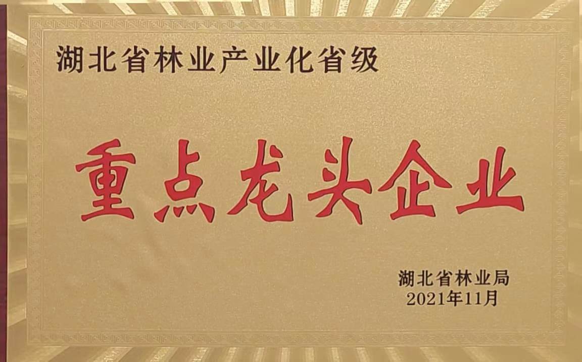 省林業(yè)產(chǎn)業(yè)化重點龍頭企業(yè)(2021.11).jpg 省林業(yè)產(chǎn)業(yè)化重點龍頭企業(yè)(2021.11).jpg